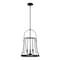 Designers Fountain Alba 3 Light Industrial Matte Black with  Shades Chandelier For Dining Rooms D234C-14P-MB - alternate 1